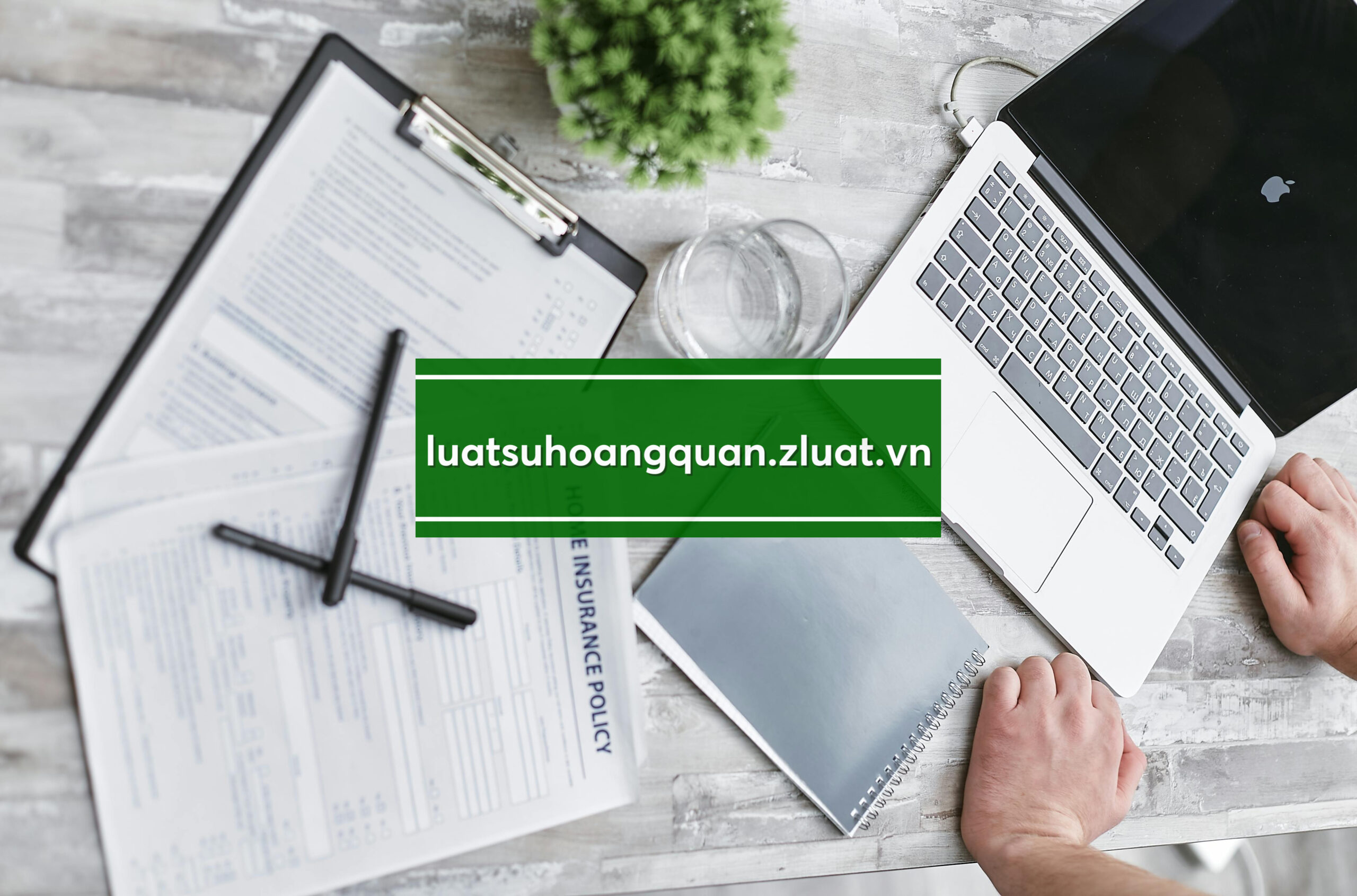 [HỆ THỐNG LUẬT] – Chuyên gia pháp lý biên soạn di chúc thừa kế ở khu vực Xã Mường Chà, tỉnh Điện Biên - Ảnh 2